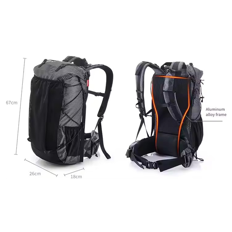 Multi-compartment Travel Backpack with Back Pad